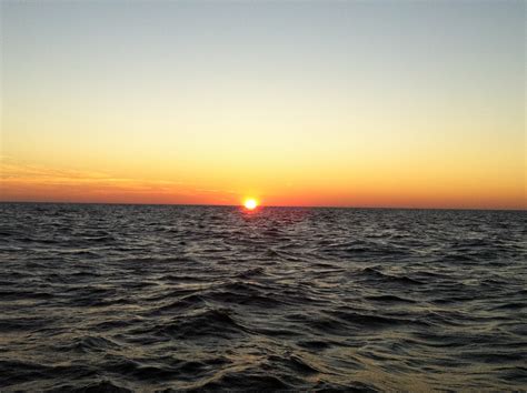 maximum fishing fun|News .